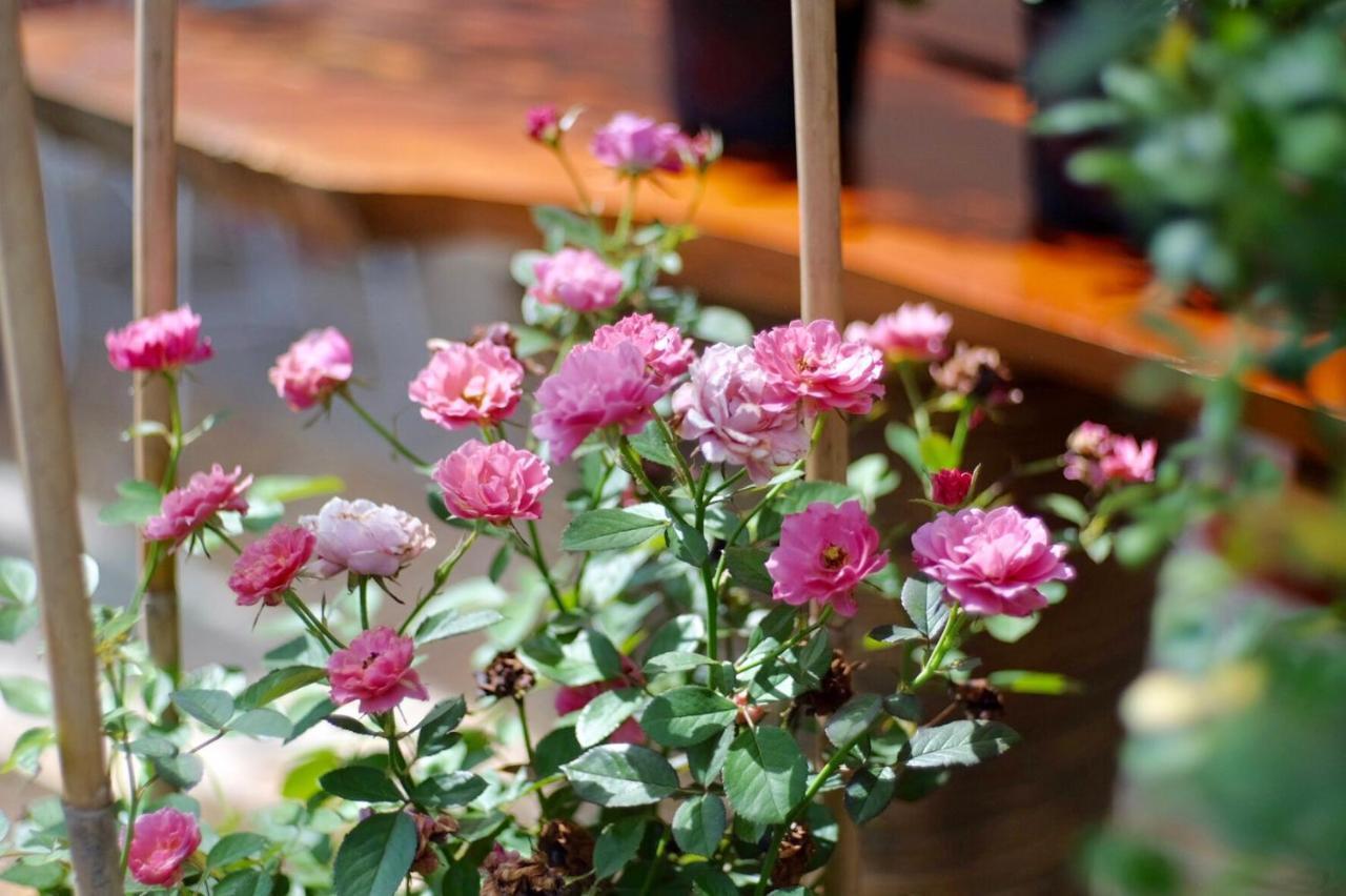Little Dalat Coffee And Homestay Can Tho Exteriér fotografie